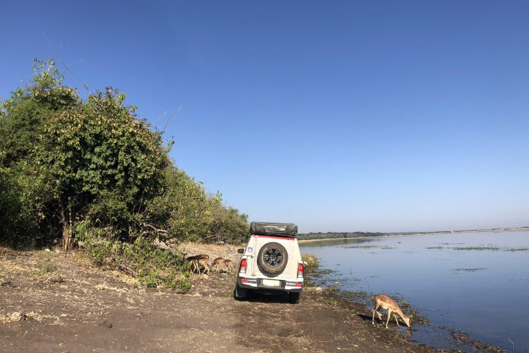 4x4 in Chobe NP