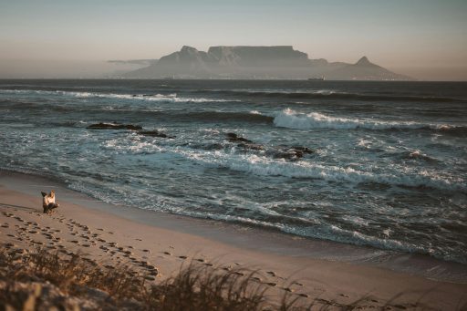 Cape Town