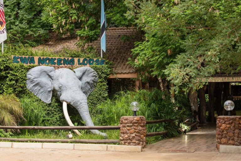 Kwa Nokeng Lodge