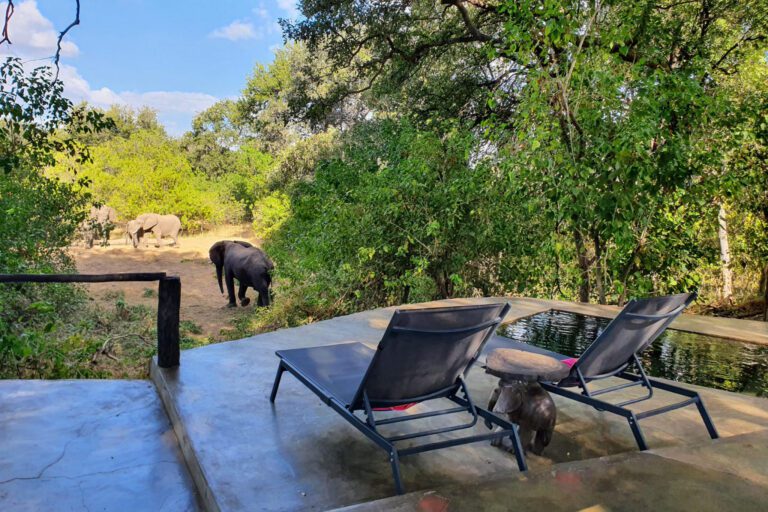 Serolo Safari Camp