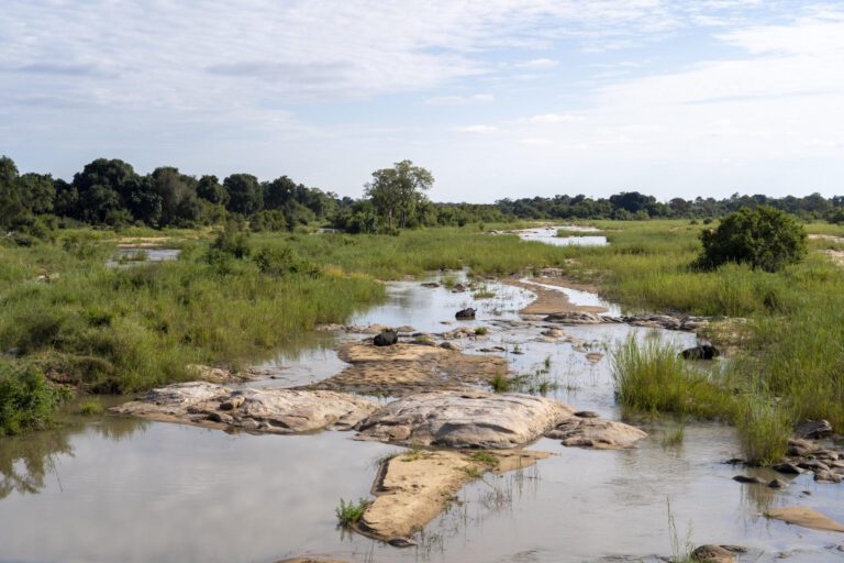 Kruger National Park