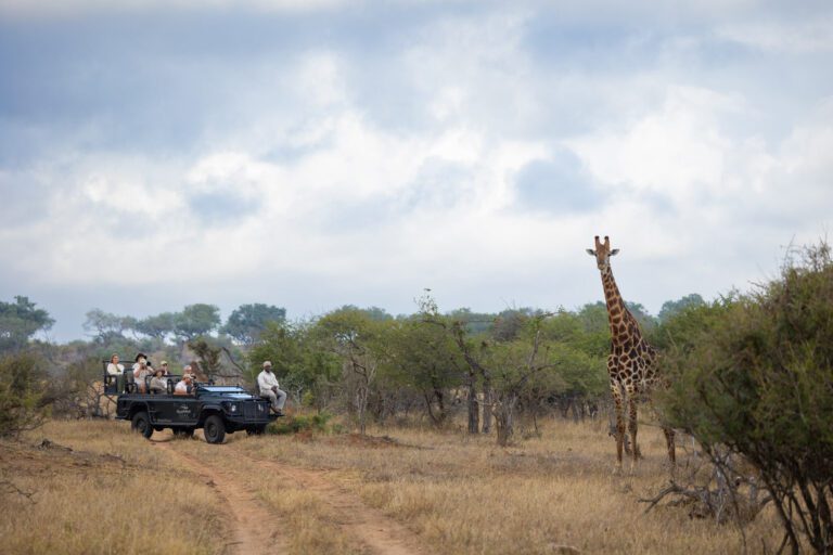 Kwambili Safari Lodge Private safari