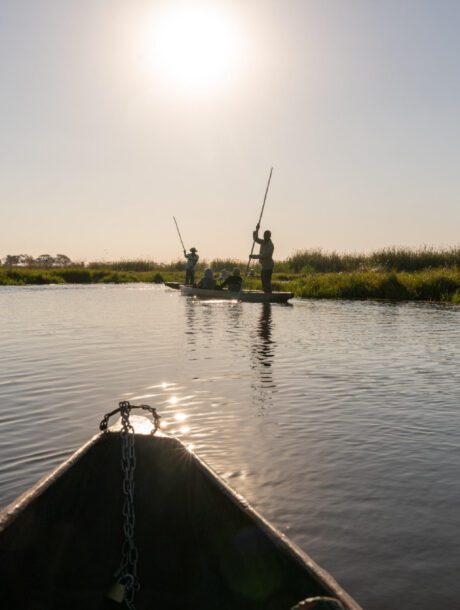 Botswana Okavango mokorokoro