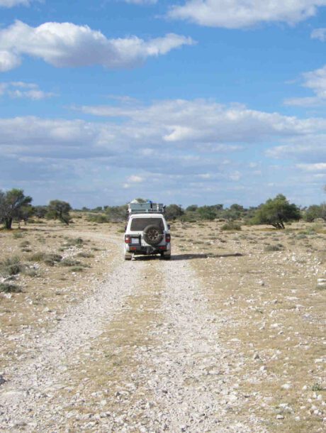 Botswana Kalahari