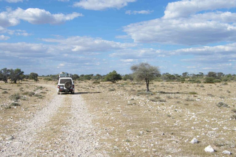 Botswana Kalahari