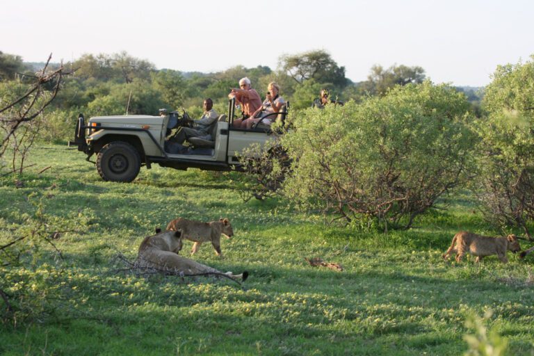 Botswana Tuli Block Private safari