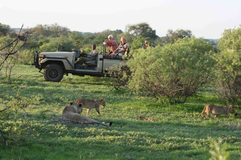 Botswana Tuli Block Private safari