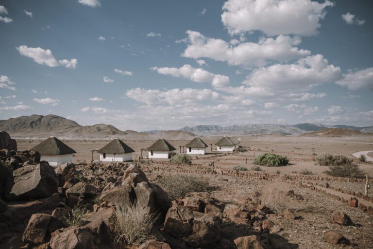 Desert Homestead