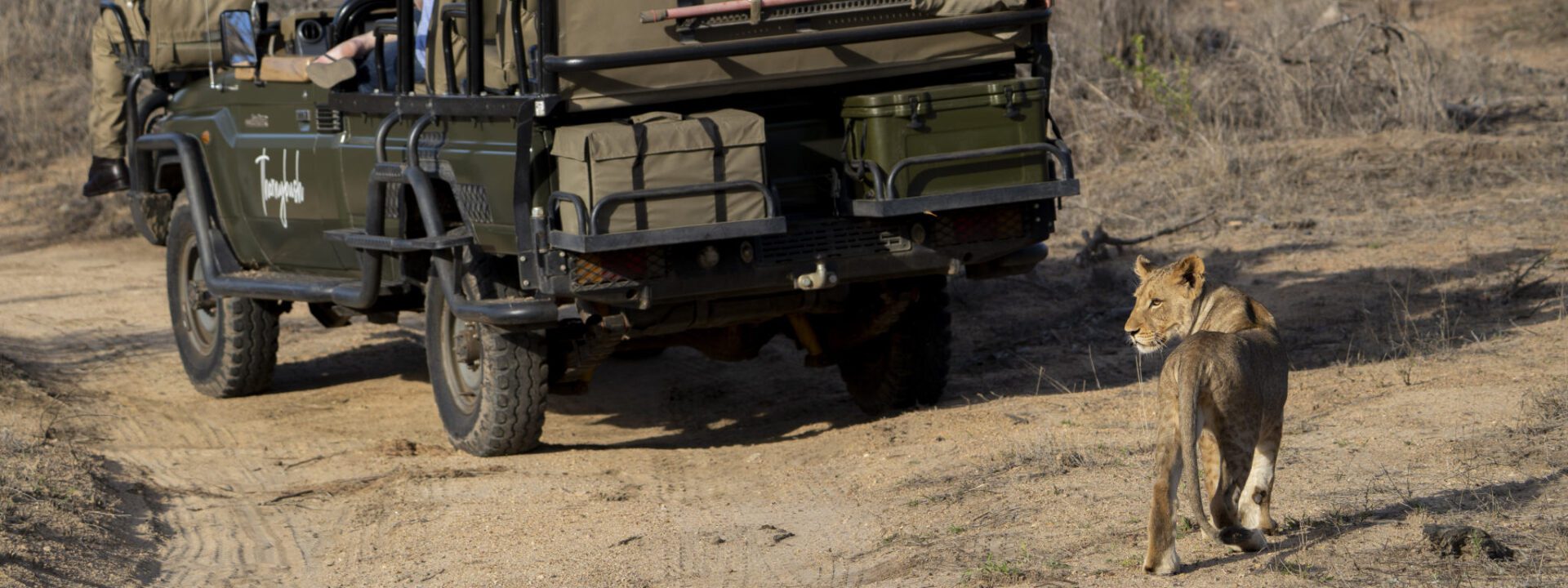 Game vehicle and lion