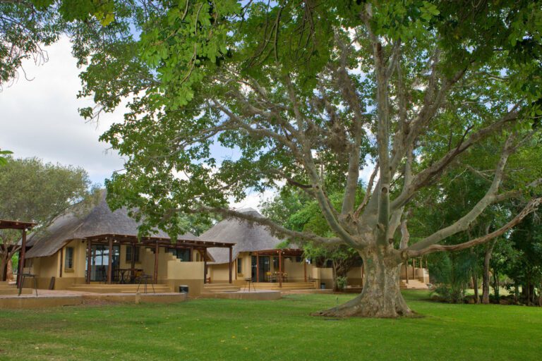 Kruger National Park Rest Camps