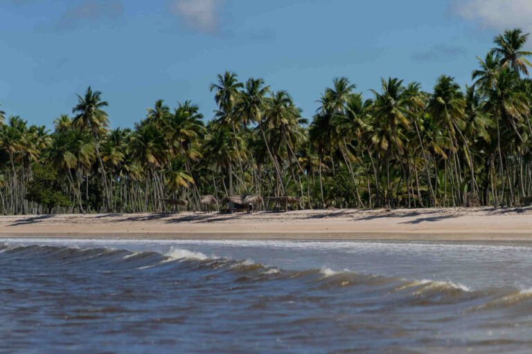 Mozambique Beach