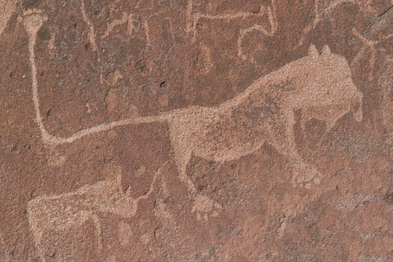 Namibie Rock Art