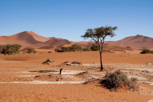 Namibia Sossusvlei