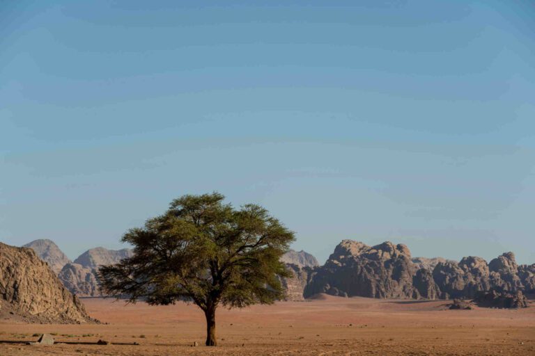 Namibia Twyfelfontein