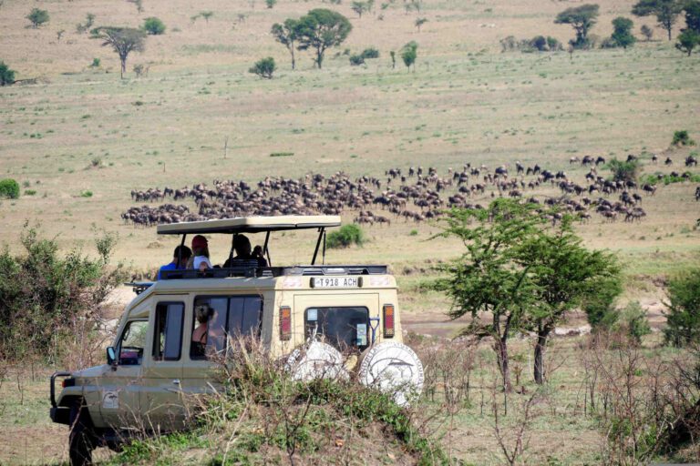 Reizen door Tanzania met chauffeur