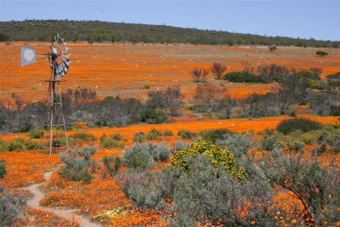 Nieuws uit Afrika, Namaqualand Zuid-Afrika