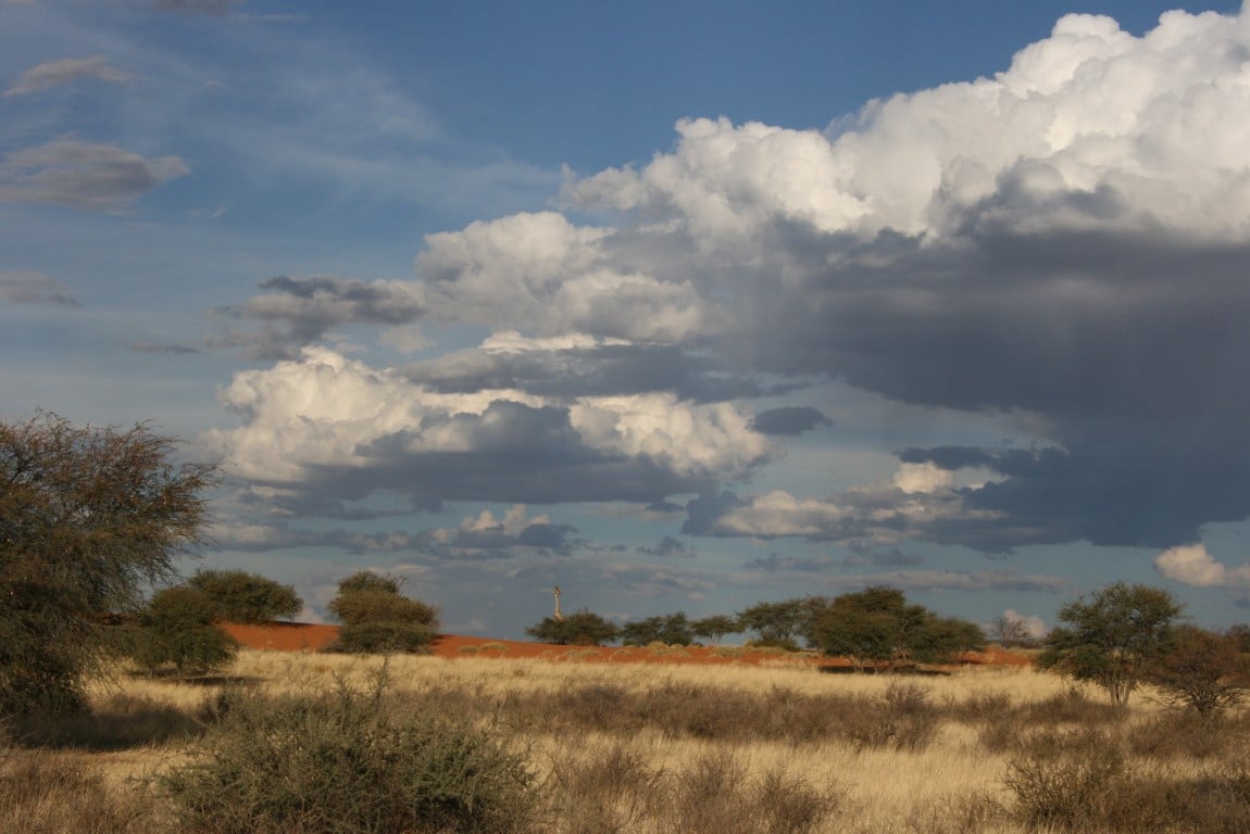 Kalahari landschap - Combinatie vakantie Afrika
