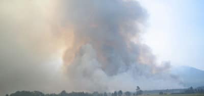 Brand