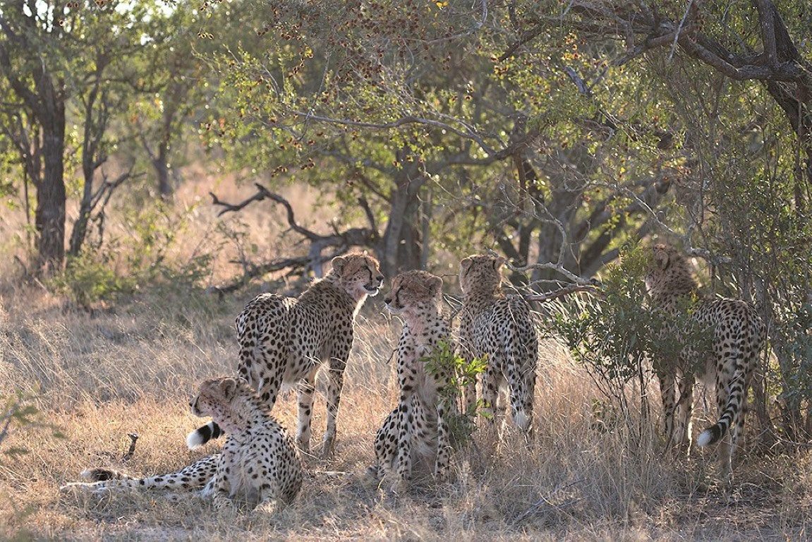 Out in Africa - Nieuws uit Afrika - Foto Andius Teijgelaar