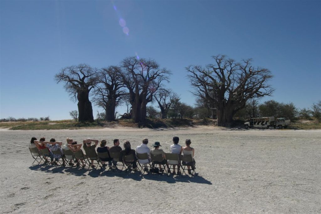 Nieuwsbrief Out in Africa - Bomen Bush Ways, plastic flessen, groepskampeersafari's, mobile safaris, botswana, kamperen, groepsreis