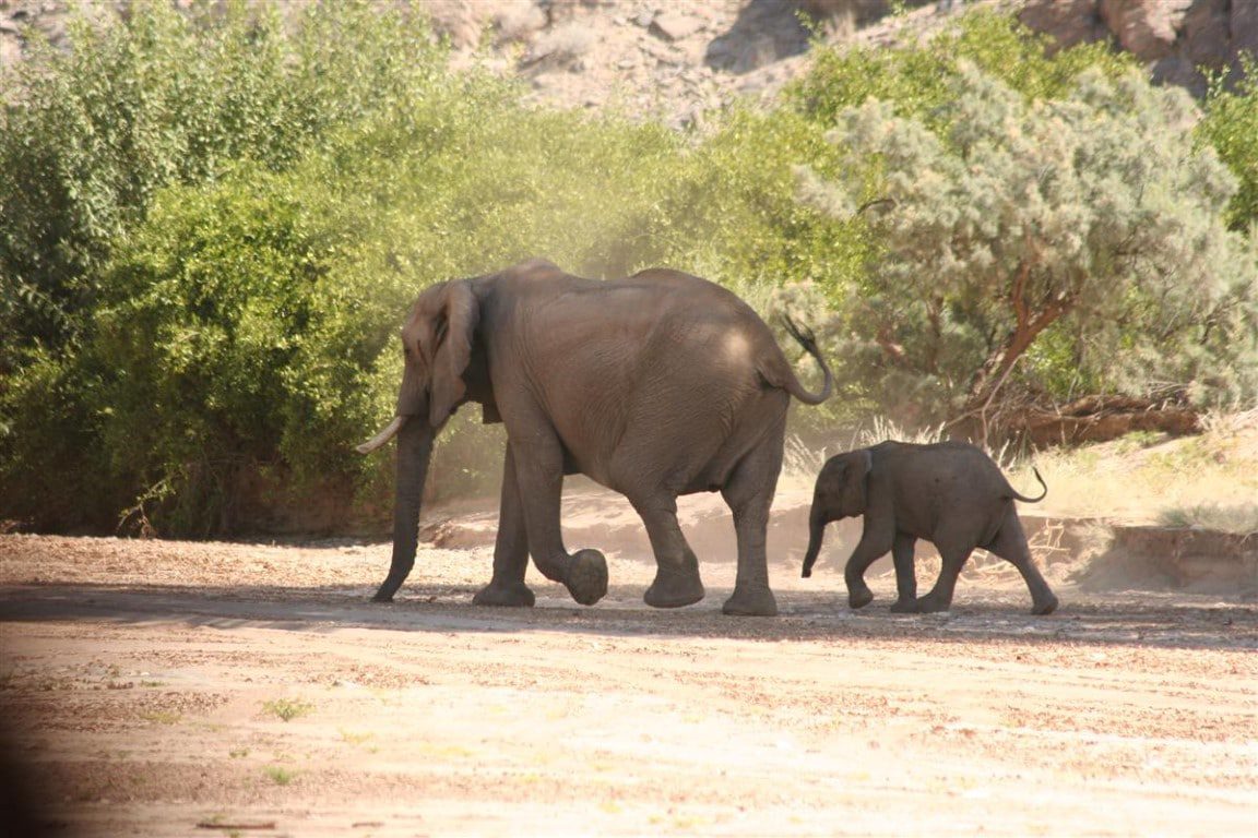 Damaraland (15)