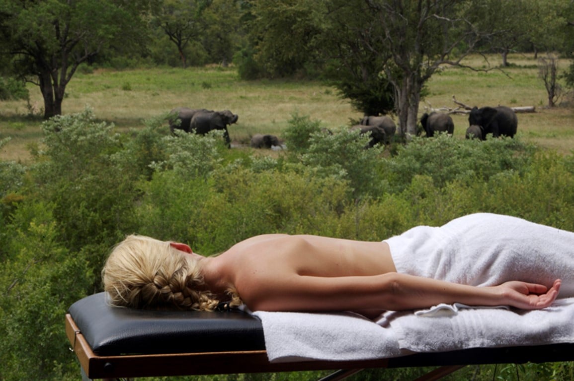 Elephant Plains Game Lodge (22)