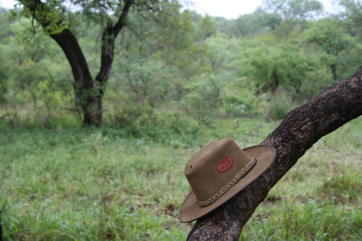 Hoed, safari, december, Zuid-Afrika - In december naar Zuid-Afrika