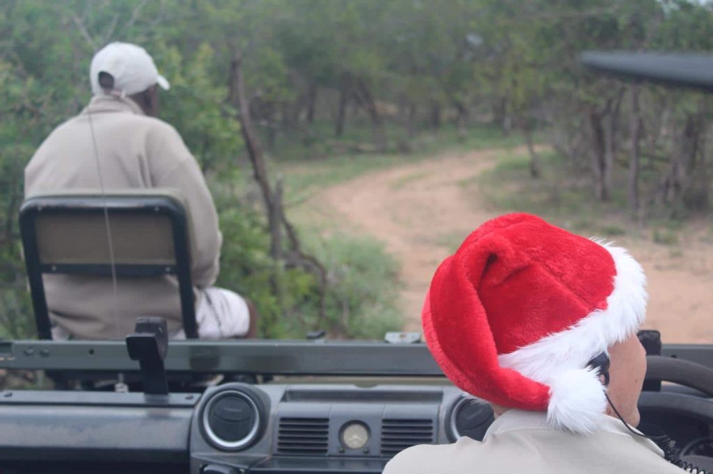 Nieuwsbrief Out in Africa - reislustig 2020, kerst, safari, game drive, wildrit