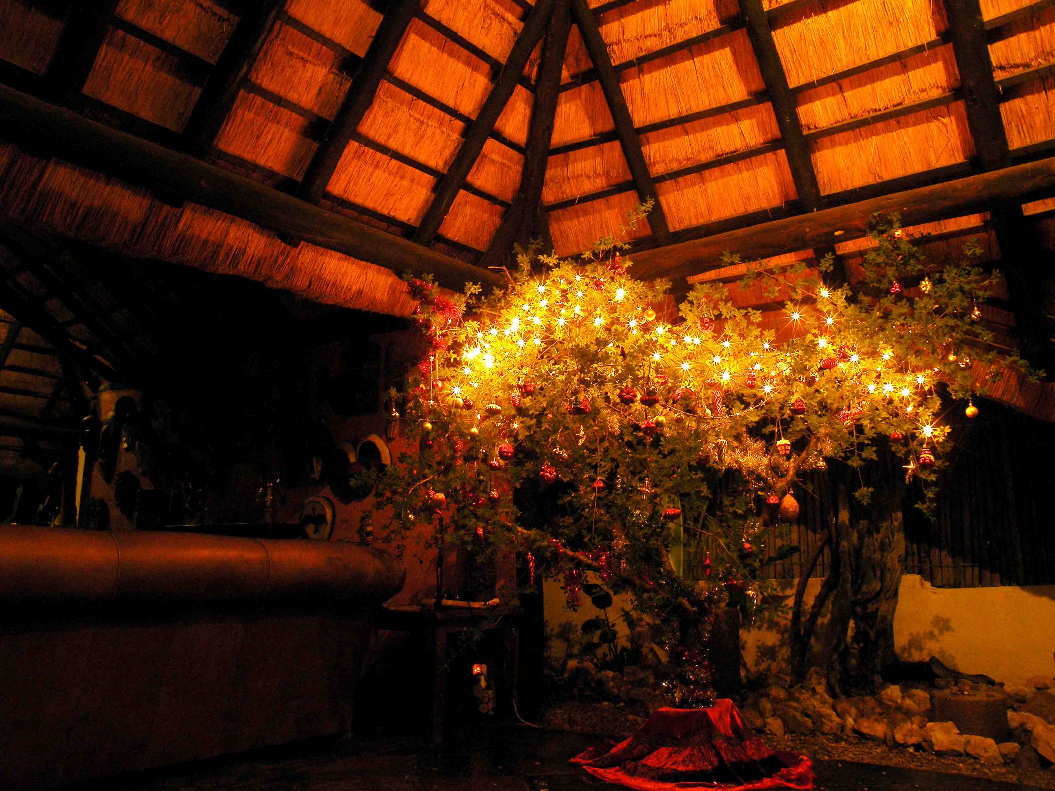Dennenboom, versiering, Kerst, Zuid-Afrika - In december naar Zuid-Afrika