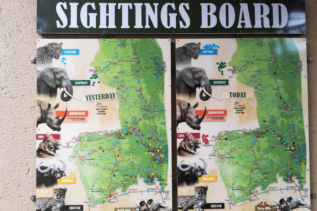 Zelf rijden in Kruger National Park - Sightings Board