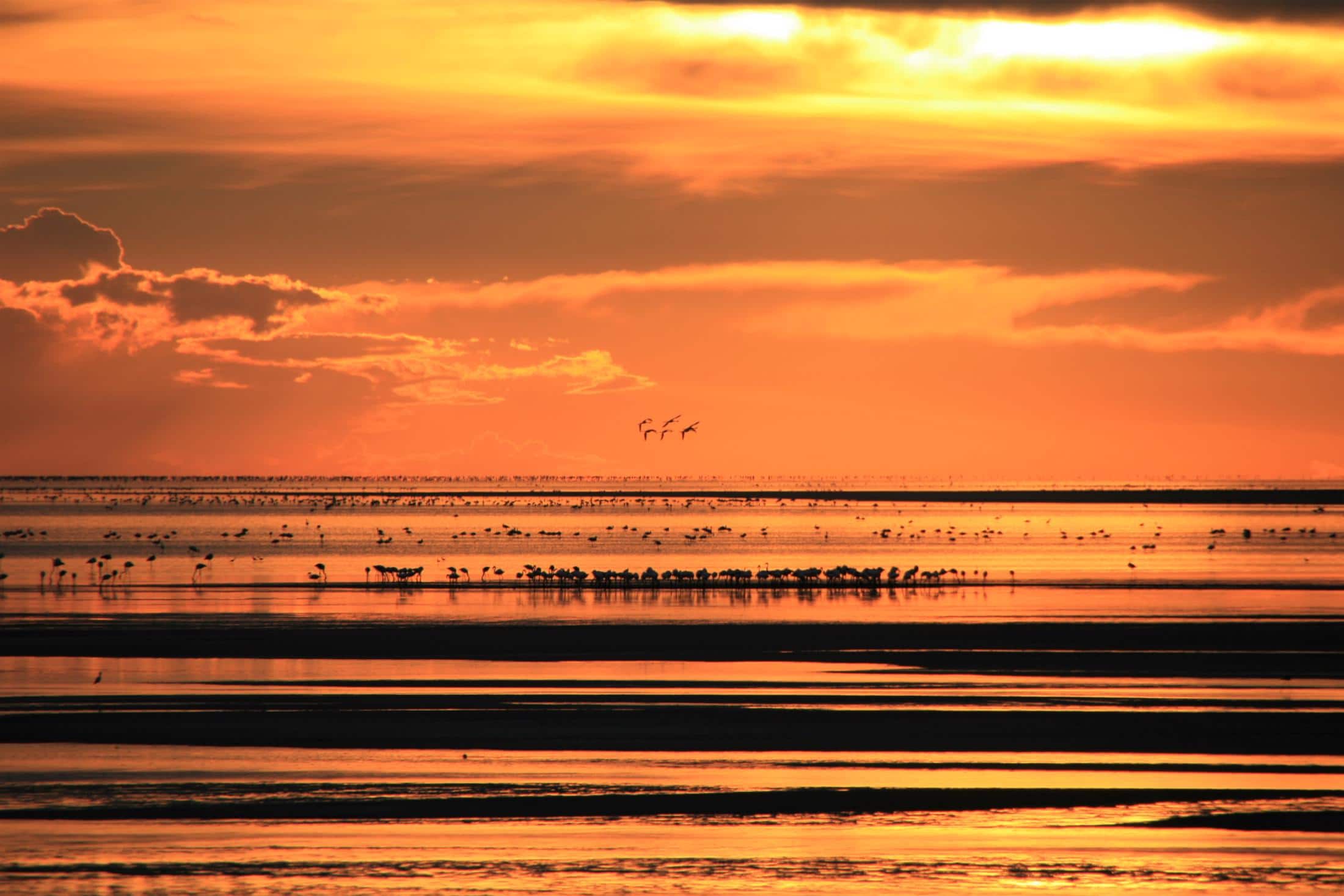 Makgadikgadi Zoutpannen - Zonsondergang boven het water in de zoutpannen