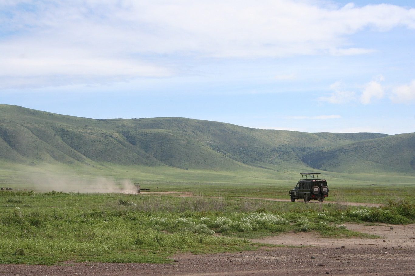 Ngorongoro Krater - game drive