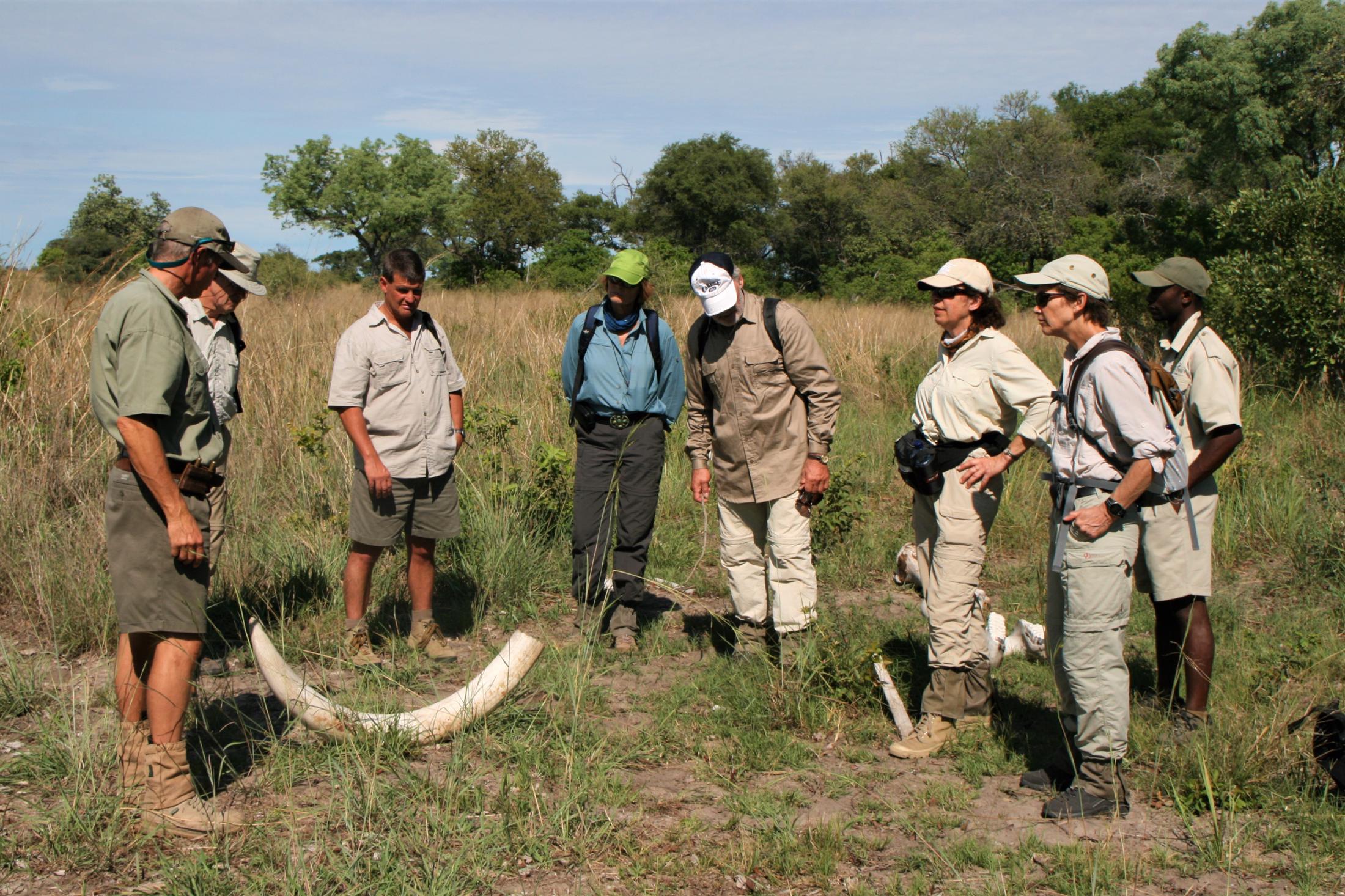 Leukste activiteiten Botswana - Okavango Delta - Bushwalk