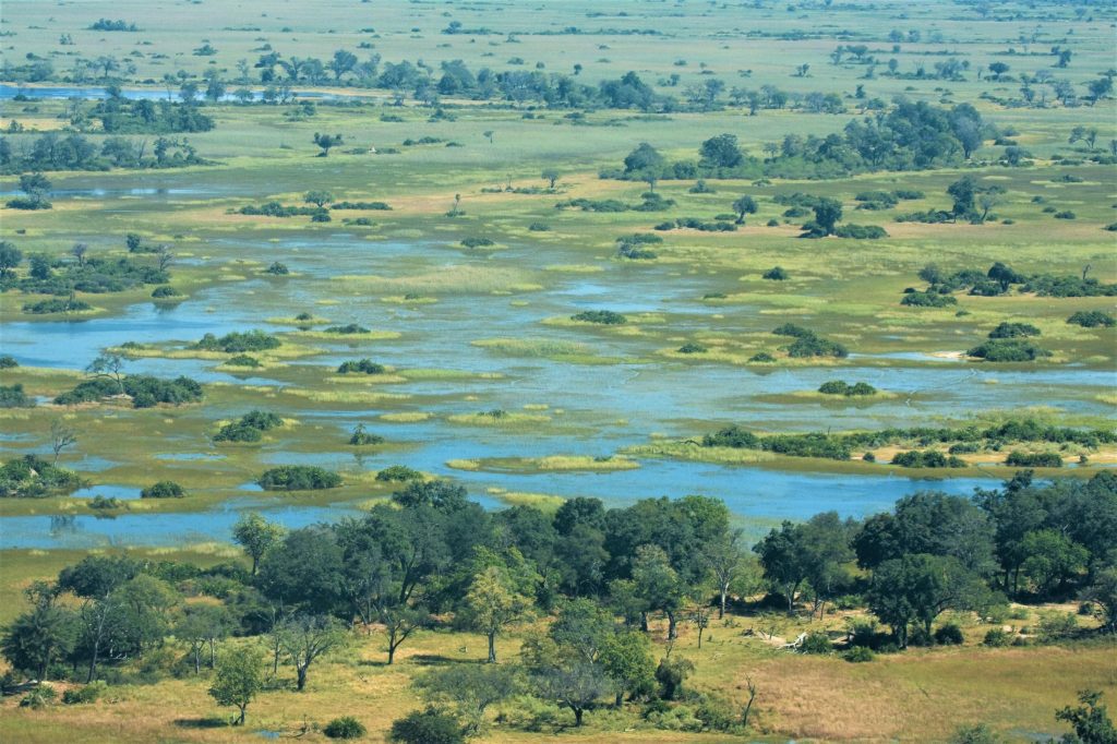 Leukste activiteiten Botswana - Okavango Delta - Uitzicht vanuit de lucht