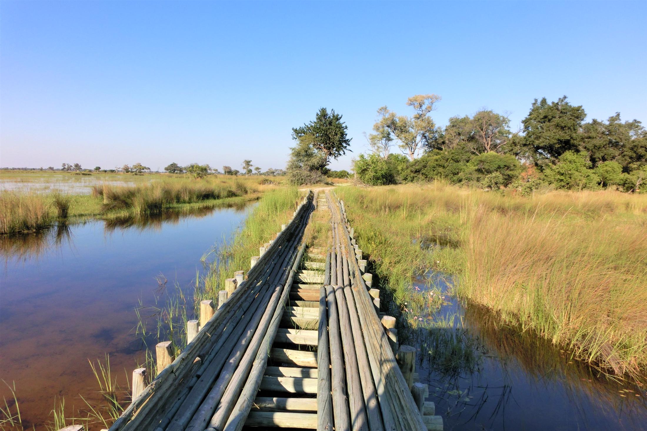 Leukste activiteiten Botswana - Okavango Delta - Houten brug