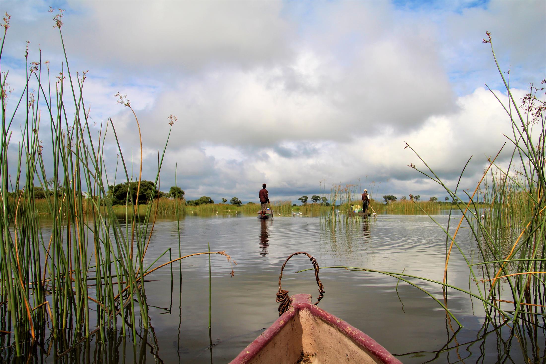 Leukste activiteiten Botswana - Okavango Delta - Mokorotocht bewolkte dag