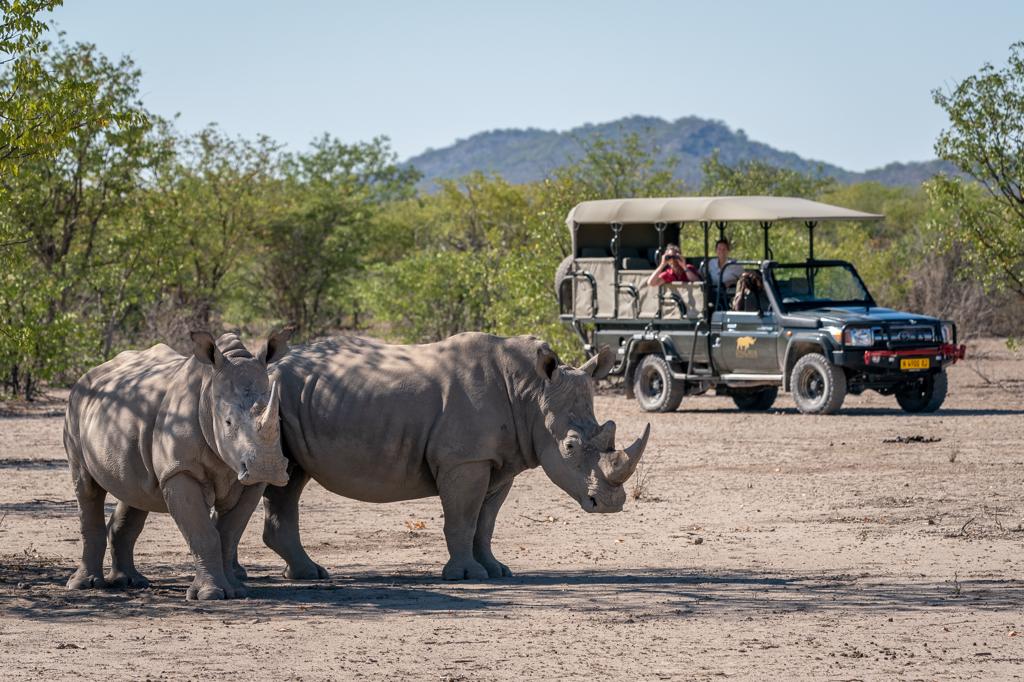Ongava Lodge - gamedrive - neushoorns