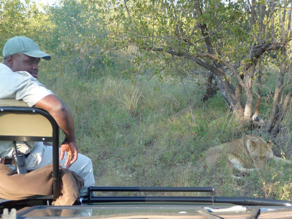 Prive Safari (15), tracker, wildrit - Wat is een Game Drive?