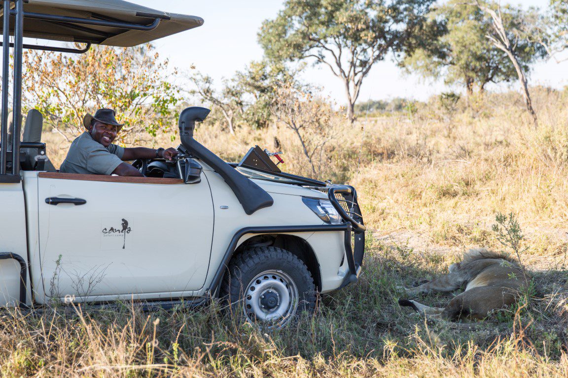 Nieuwsbrief Out in Africa - waterniveaus laag in Botswana, minder of geen bootactiviteiten, Okavango Delta, wildrit, safari