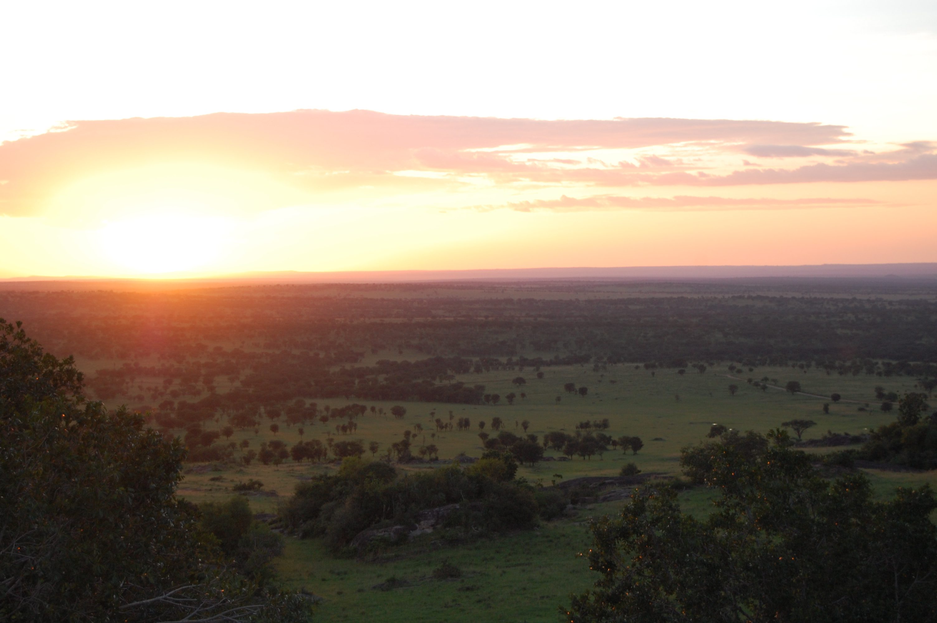 Serengeti, Lobo, zonsondergang - De mooiste natuurgebieden in Tanzania