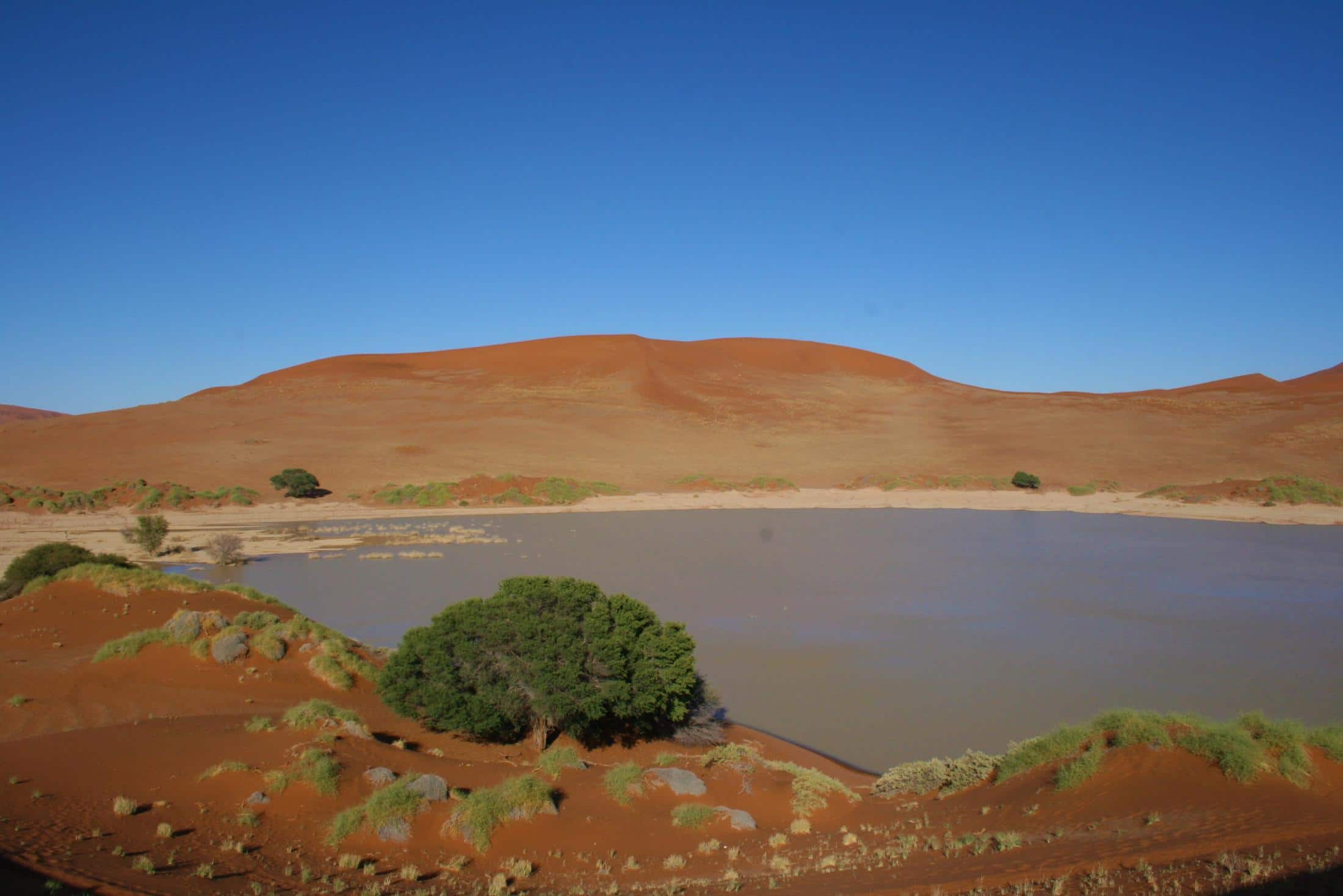 Nieuwsbrief Out in Africa - Sossusvlei - Een zeldzame laag water in de vlei