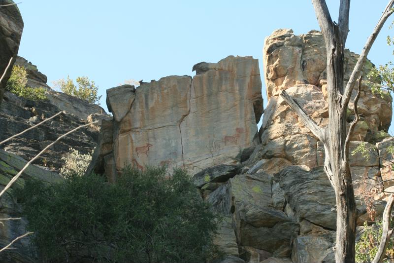 Rotstekeningen, Rock Art, Tsodilo Hills, Botswana - De leukste activiteiten in Botswana