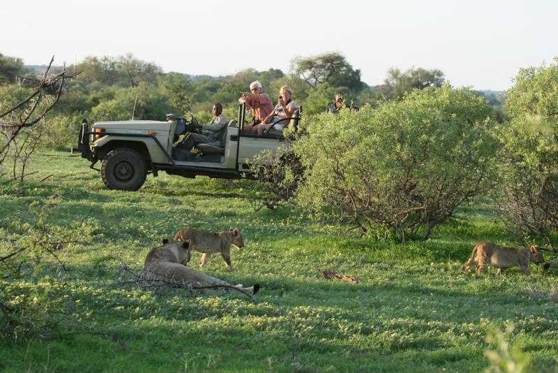 Wildrit, Kalahari, Botswana - De leukste activiteiten in Botswana