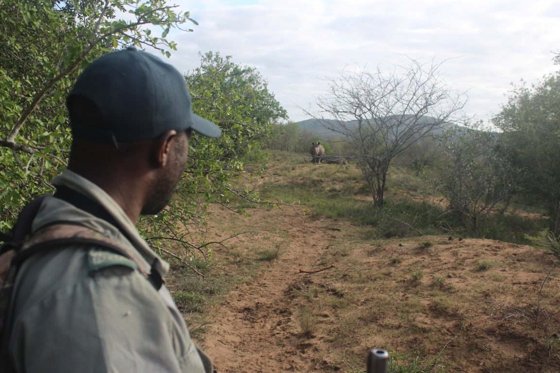 Bushwalk in Hluhluwe-Imfolozi - Op wandelsafari in Zuid-Afrika