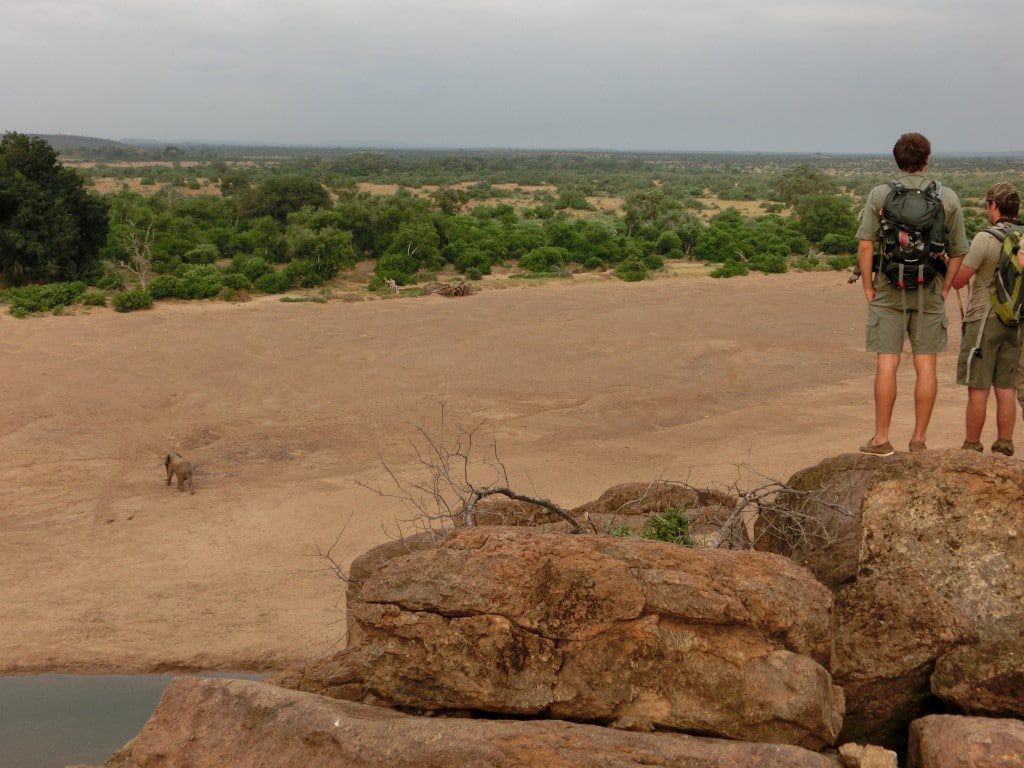 Nieuwsbrief Out in Africa - op pad met de Big 5, wandelsafari, olifanten te voet