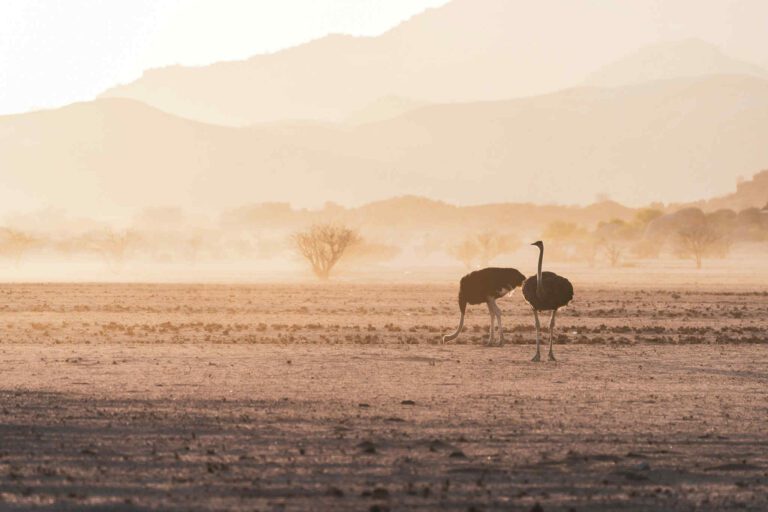 Damaraland Namibia