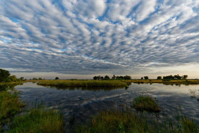 Okavango Delta Botswana
