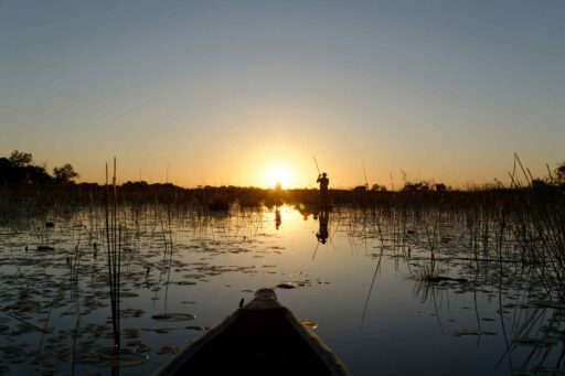 Mokoro Okavango Delta Botswana