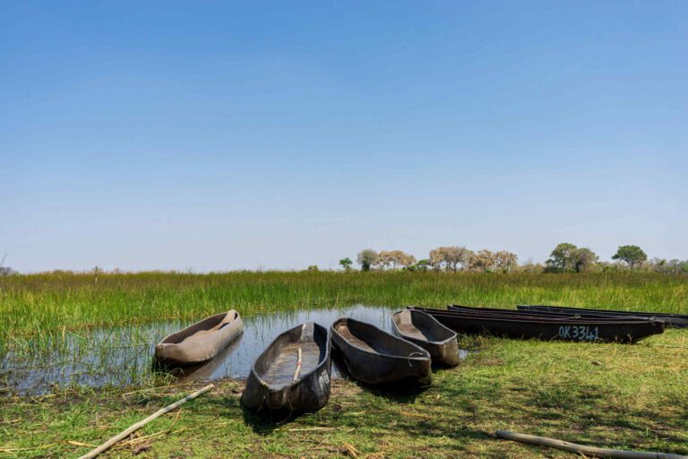 Mokoro Okavango Delta Botswana