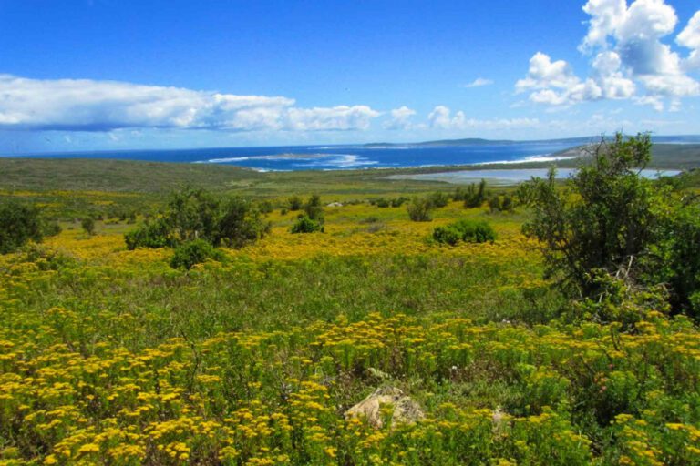 West Coast National Park Cottages